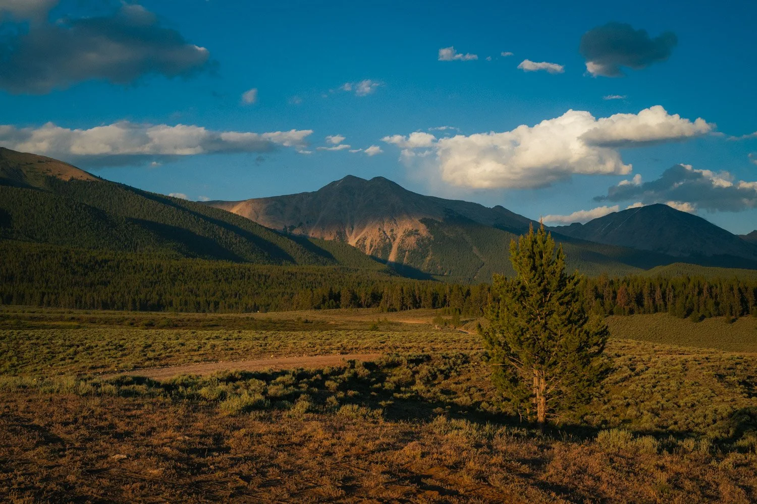 TWW_Colorado_Summer2026-8069.jpg