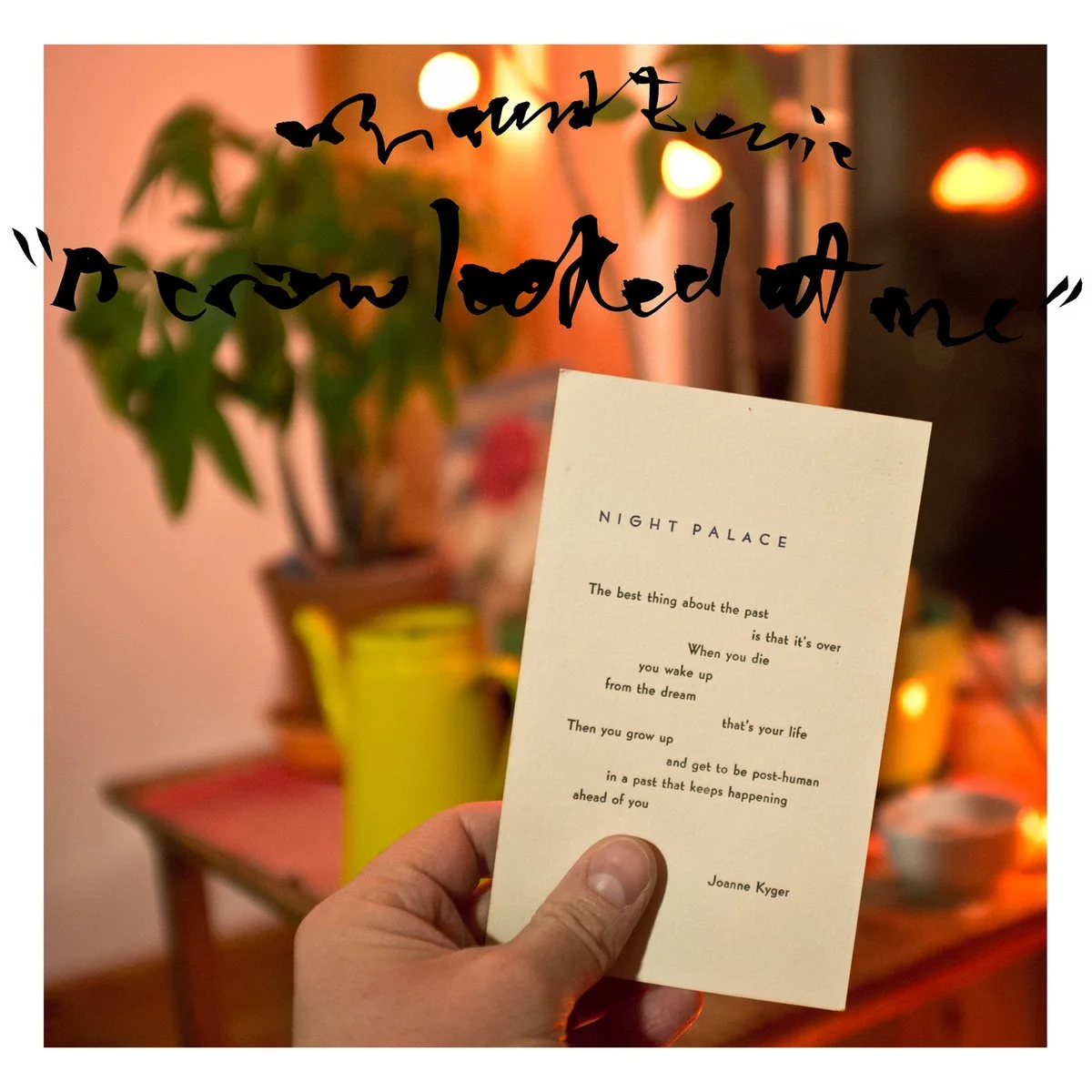 Mount Eerie - A Crow Looked At Me (P. W. Elverum & Sun Ltd., 2017)