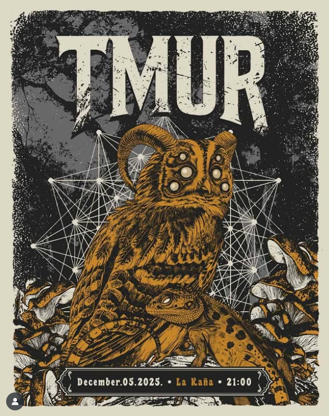 Концерт на Tmur 