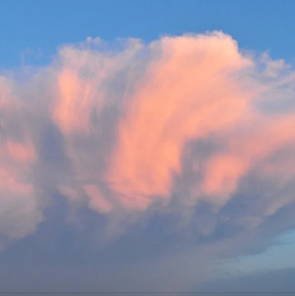 WhatsApp Image 2025-12-25 at 12.02.20.jpeg