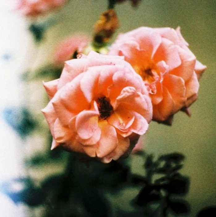 WhatsApp Image 2025-12-28 at 22.10.38.jpeg