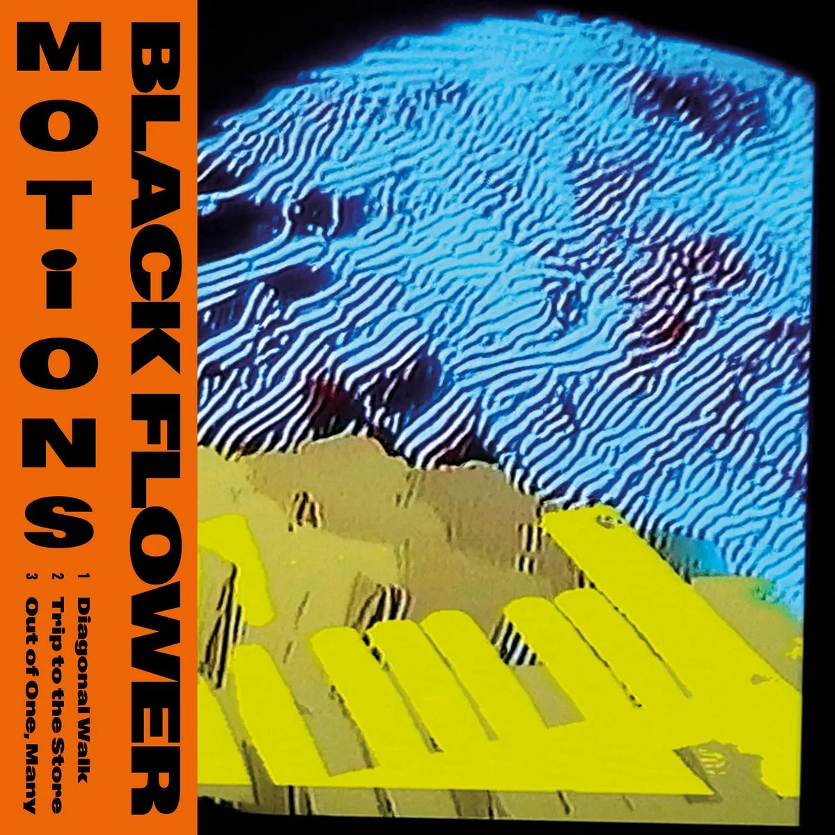 Black Flower - Motions (Sdban ultra, 2026)