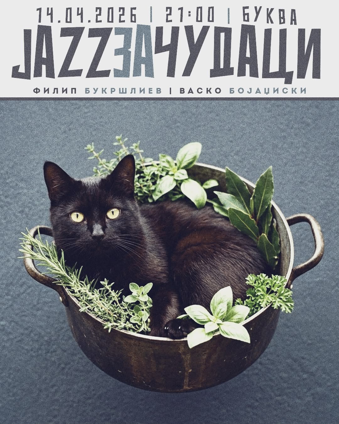 Jazz за Чудаци 22