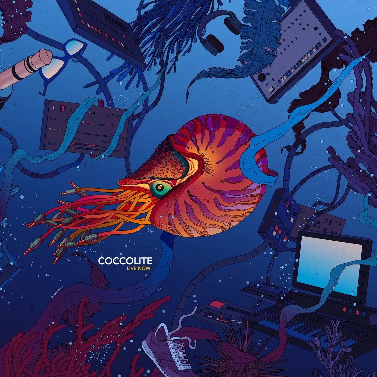 Coccolite - Live Now (La Pluie Chante, 2022)