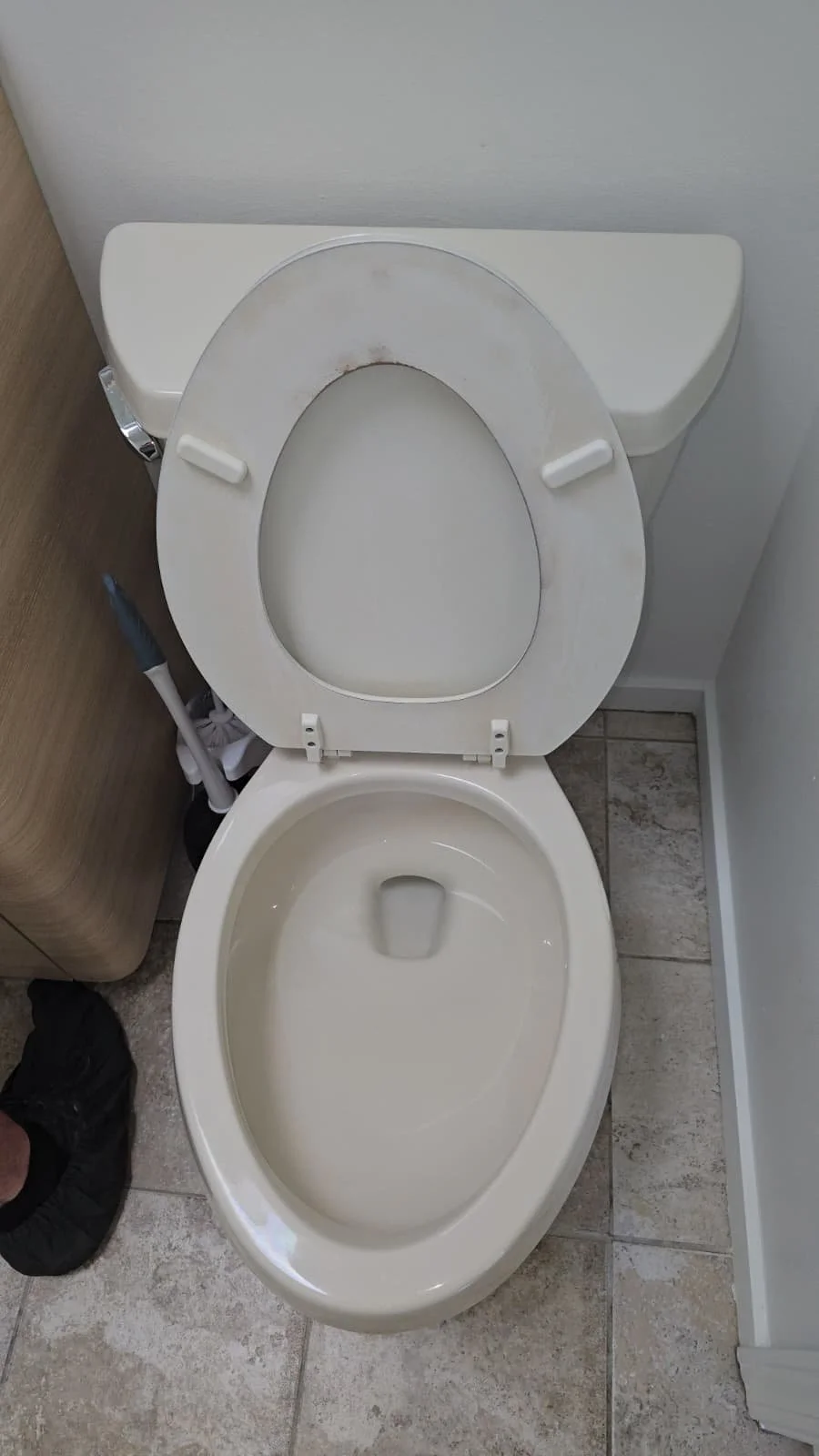 WhatsApp Image 2026-01-15 at 2.21.24 PM.jpeg