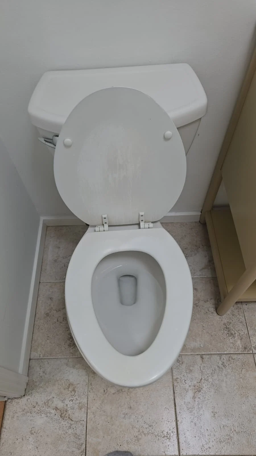 WhatsApp Image 2026-01-15 at 2.21.25 PM.jpeg