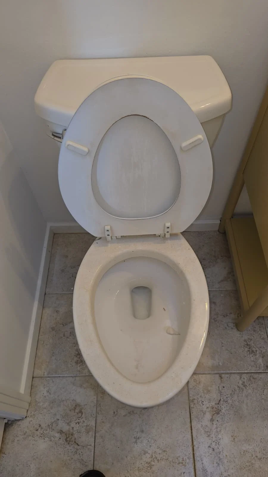 WhatsApp Image 2026-01-15 at 2.19.13 PM (1).jpeg