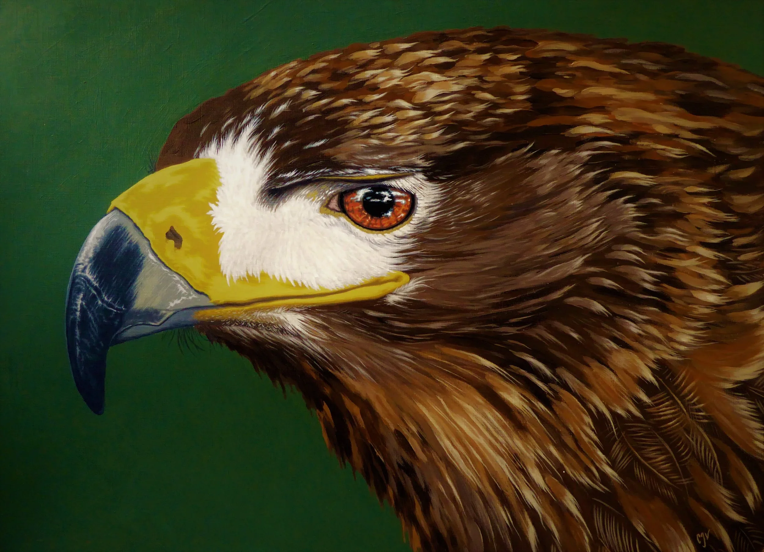 The Last Golden Eagle of England