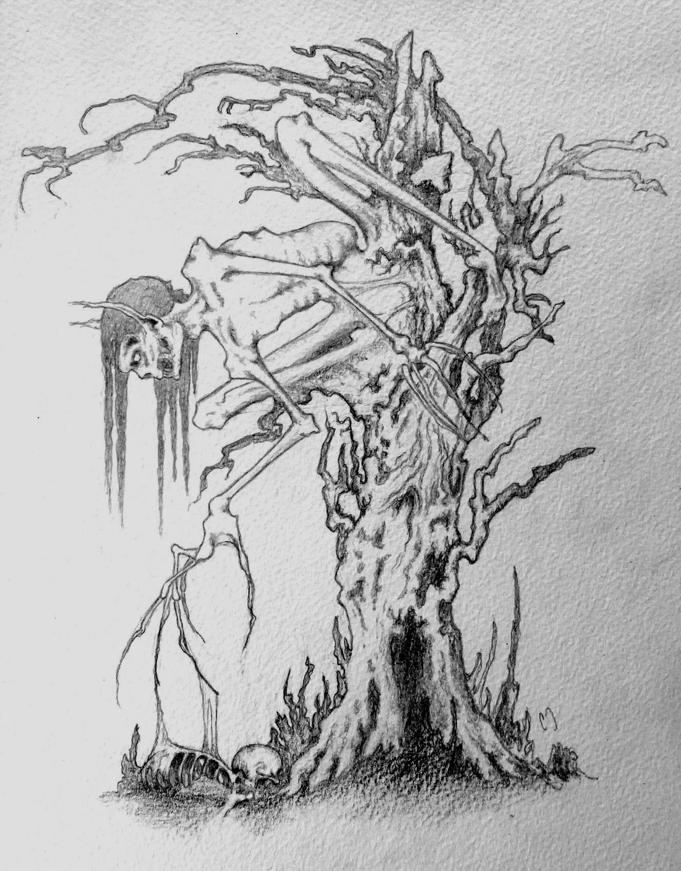 The Tree Troll