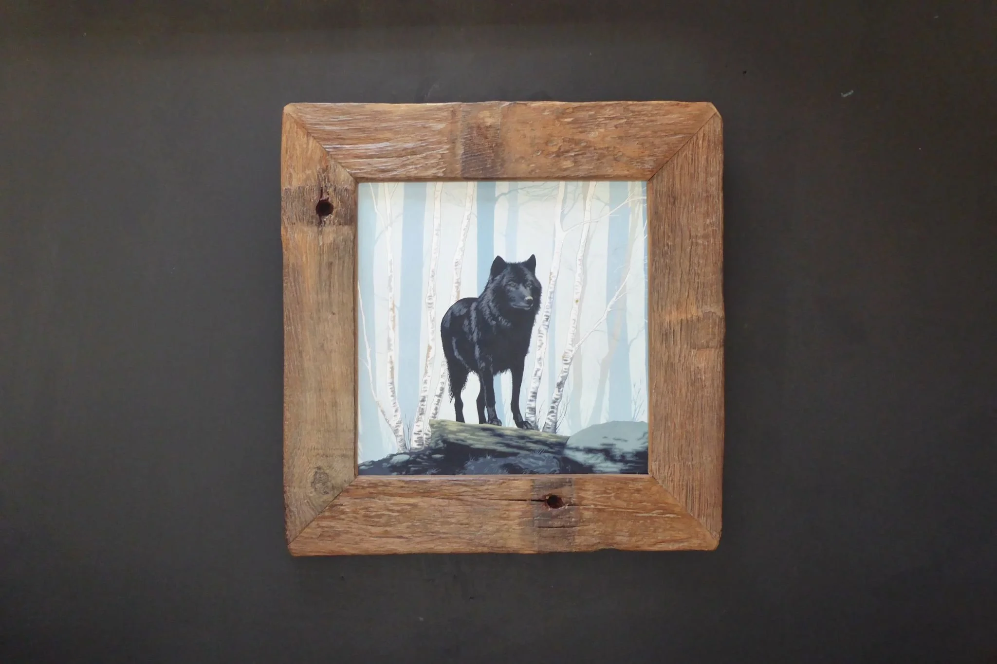 The Black Wolf