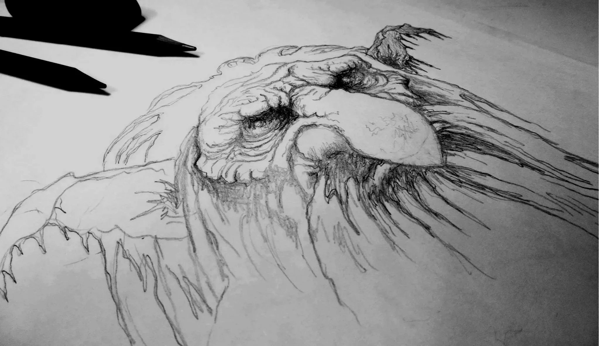 dark nordic troll