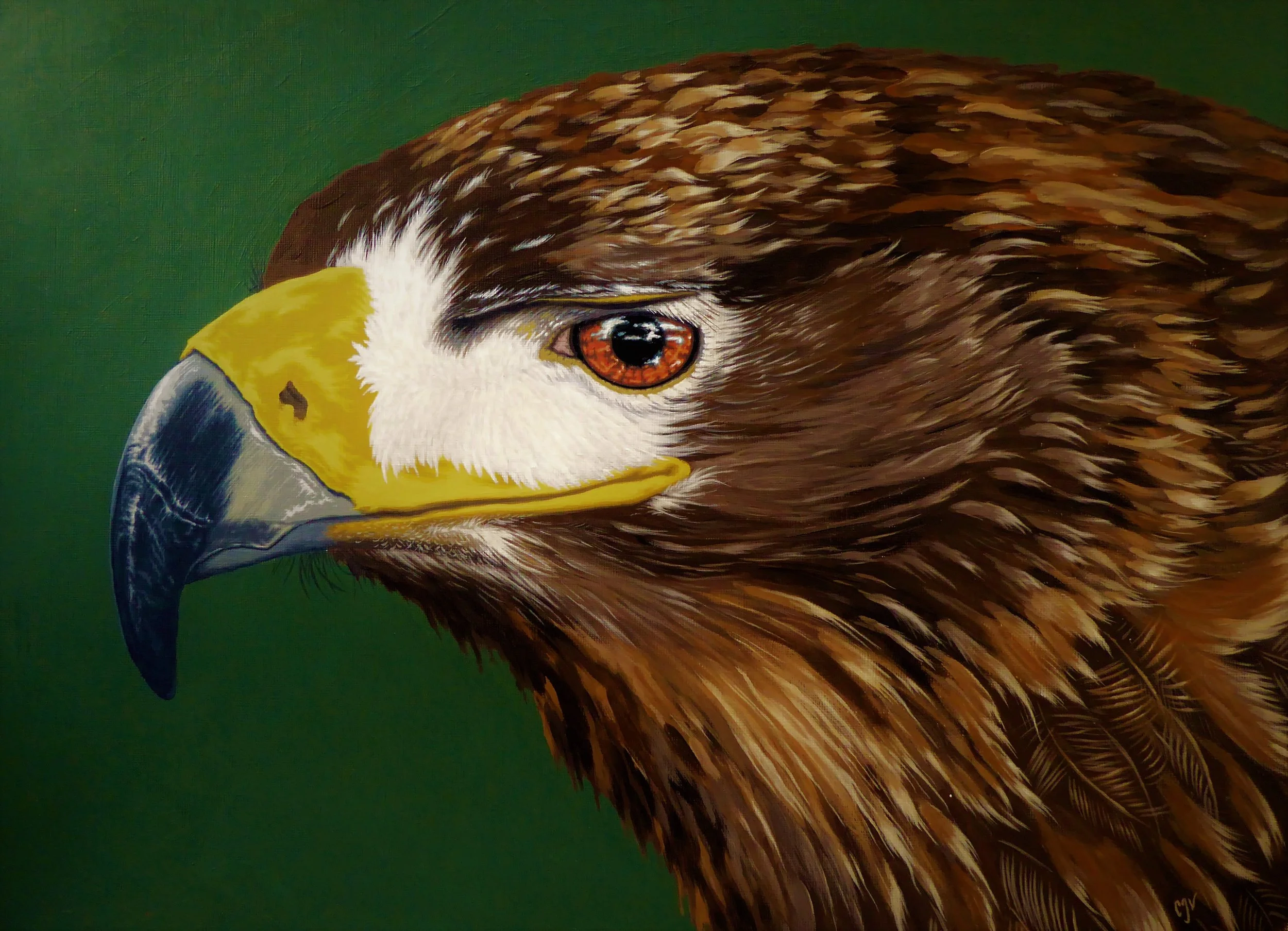 golden eagle painting for sale
