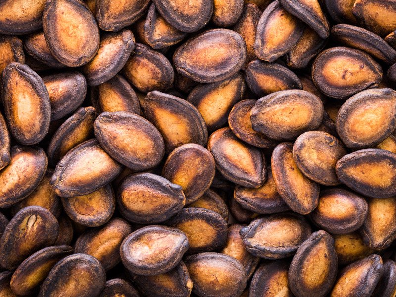 Close-up of roasted pumpkin seeds showing their brown and black shells.