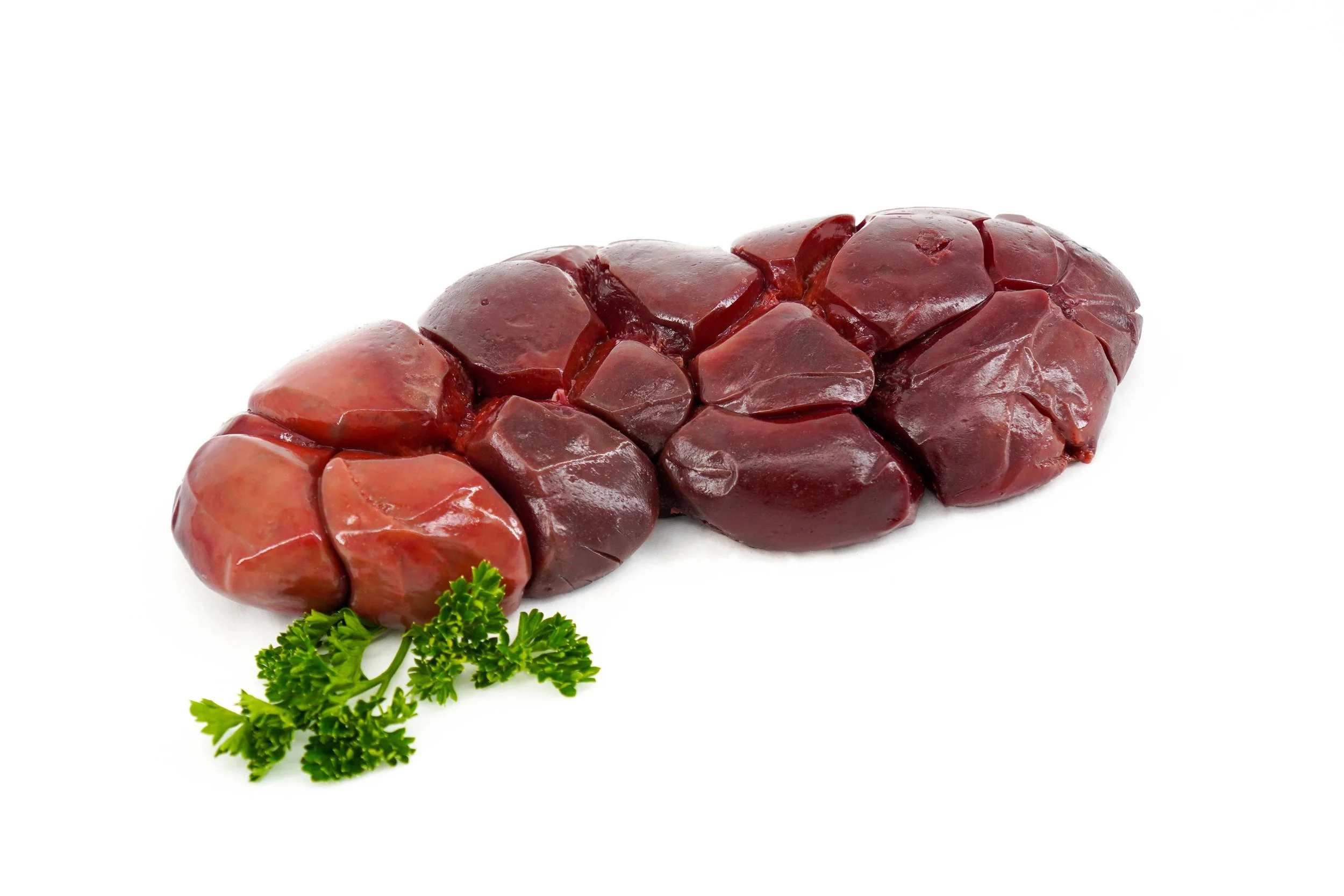 Kidney