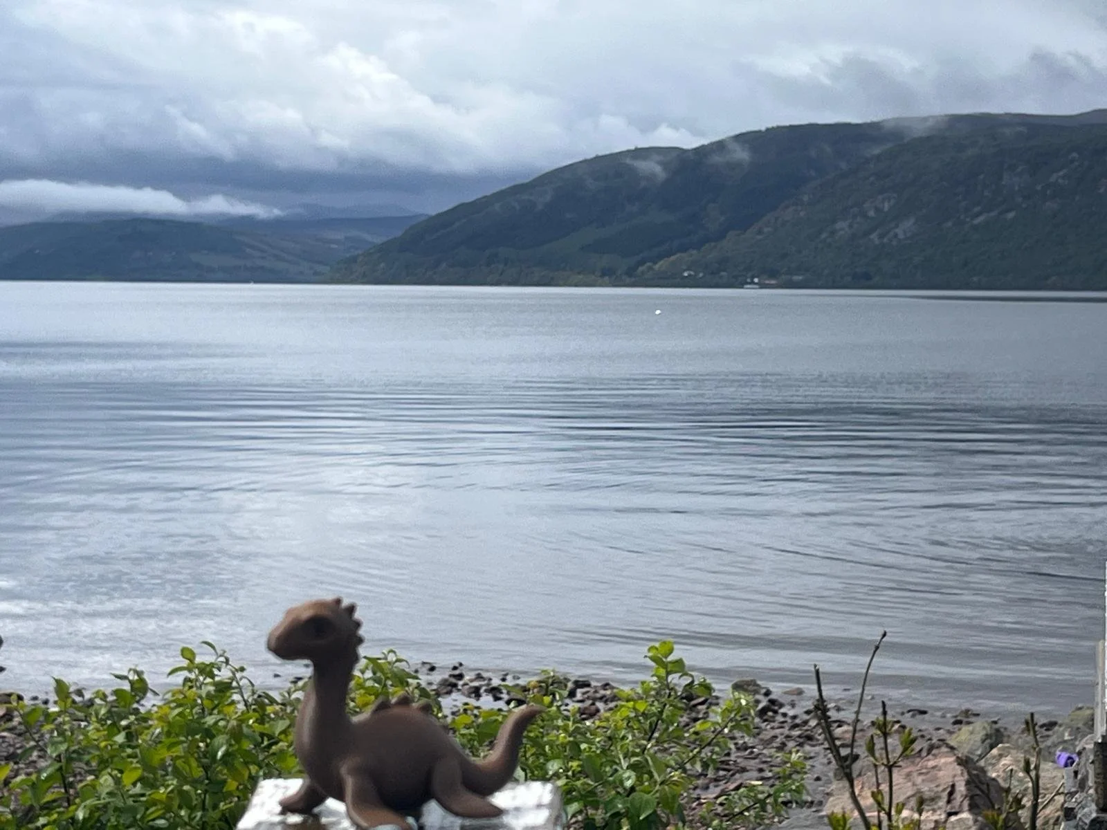 A scenic lake with mountains in the background under a cloudy sky, with a small dinosaur figurine and some green vegetation in the foreground.