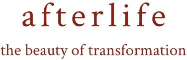 Afterlife