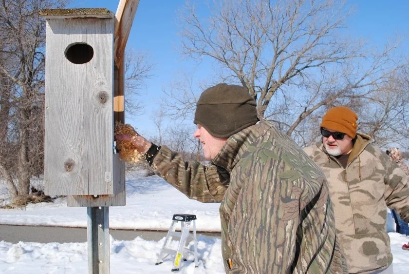 Spring Duck House Cleaning