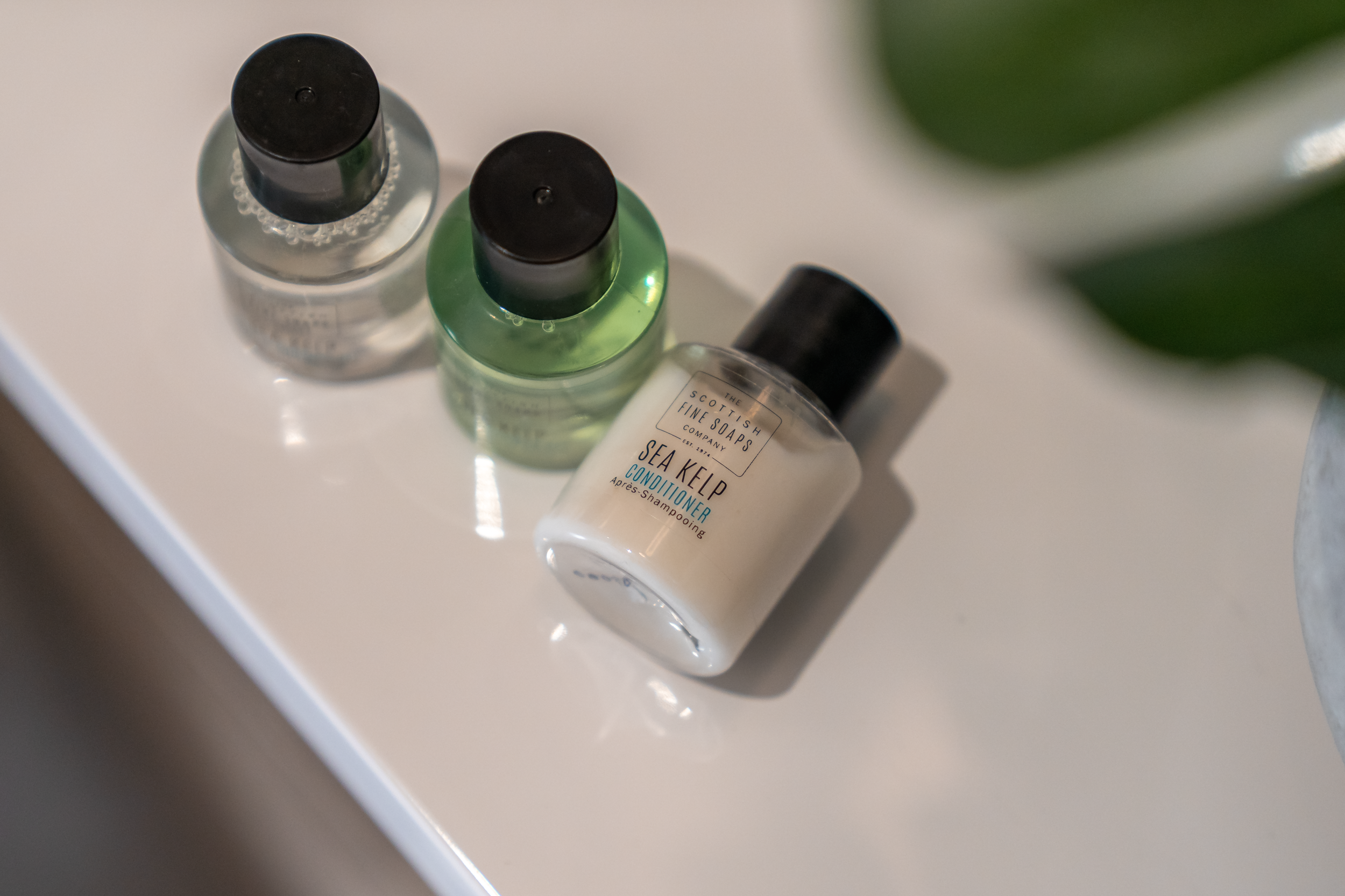 Three bottles of toiletries and a bottle of conditioner on a white surface. The conditioner is labeled 'Sea Kelp Conditioner' with a black cap. The other two bottles are smaller, one with a clear liquid and the other with a green liquid, both with bl