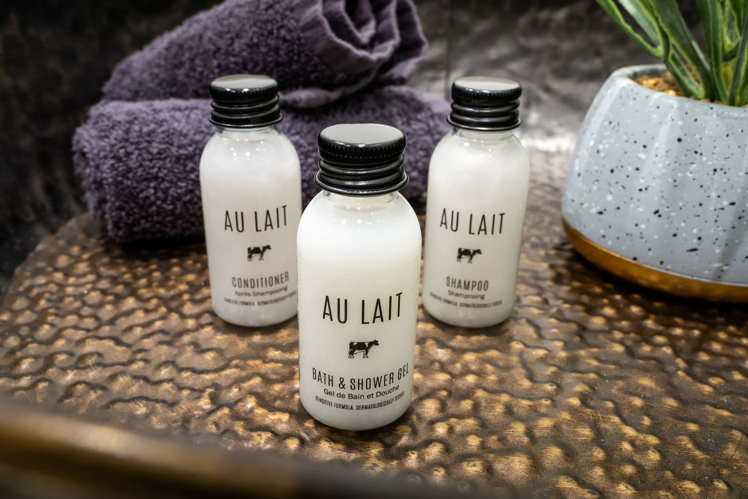 Three white bottles labeled 'Au Lait' for bath and shower gel, shampoo, and conditioner on a textured brown surface, with purple towels and a speckled gray pot containing a plant nearby.