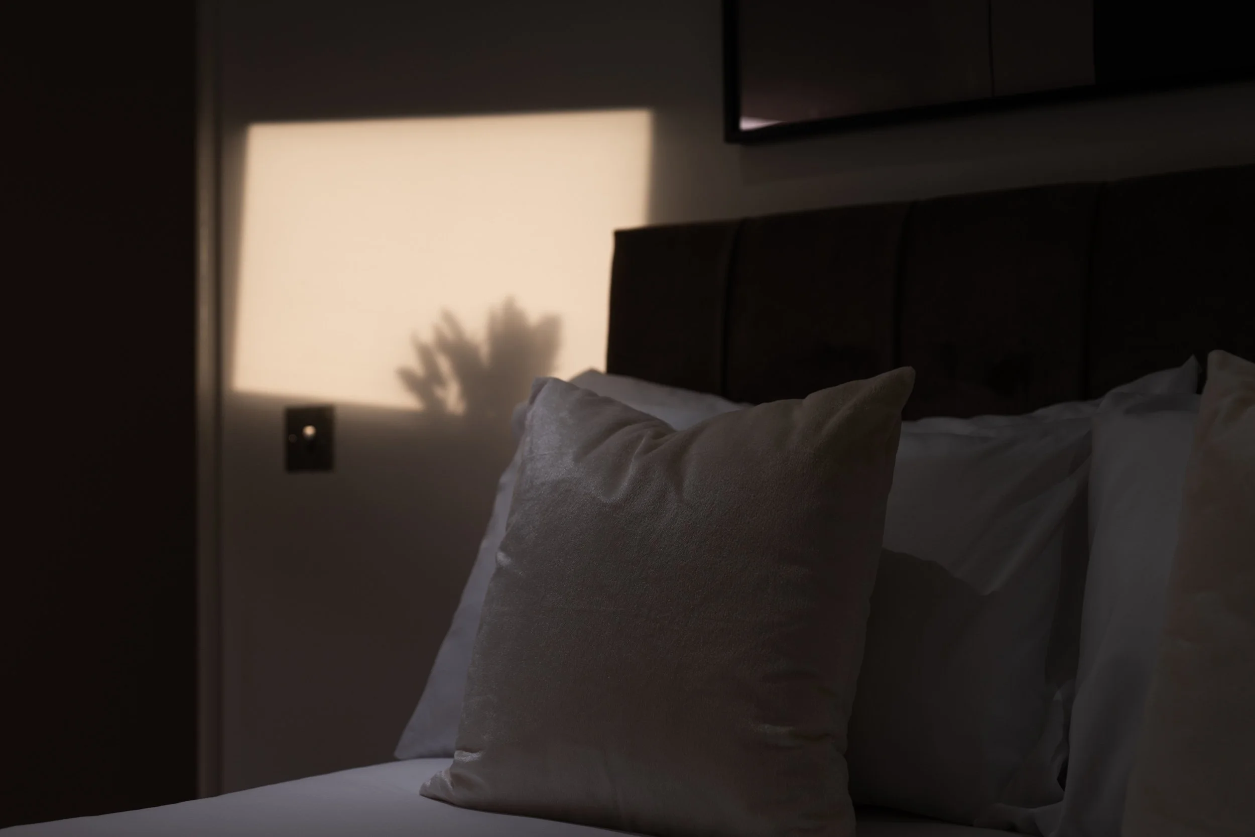 A neatly made bed with white pillows and a dark headboard, in a dimly-lit room with sunlight casting a shadow of a plant on the wall.