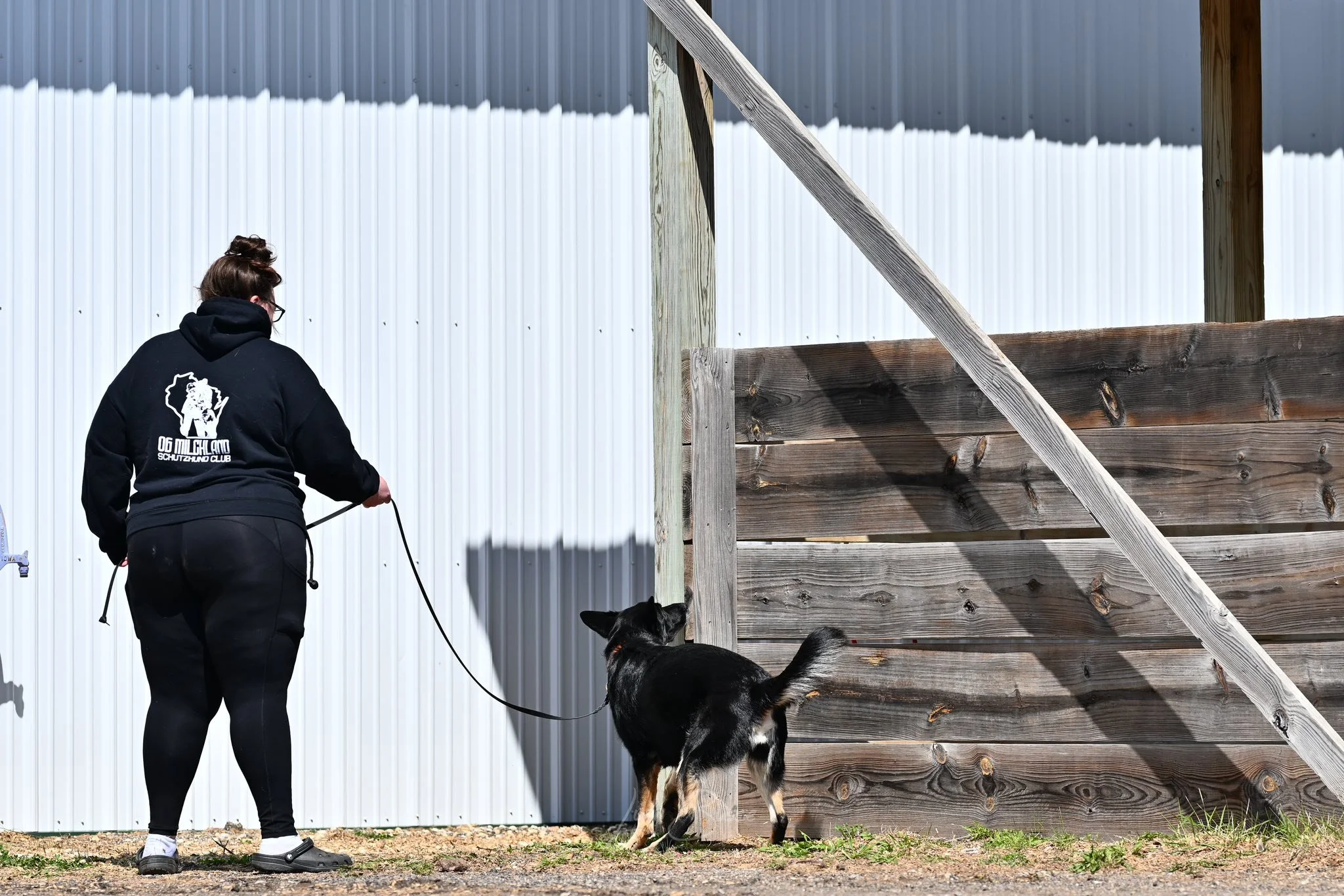 Understanding Drive, Arousal, Motivation, and High Energy in Dogs: What They Are and Why It Matters