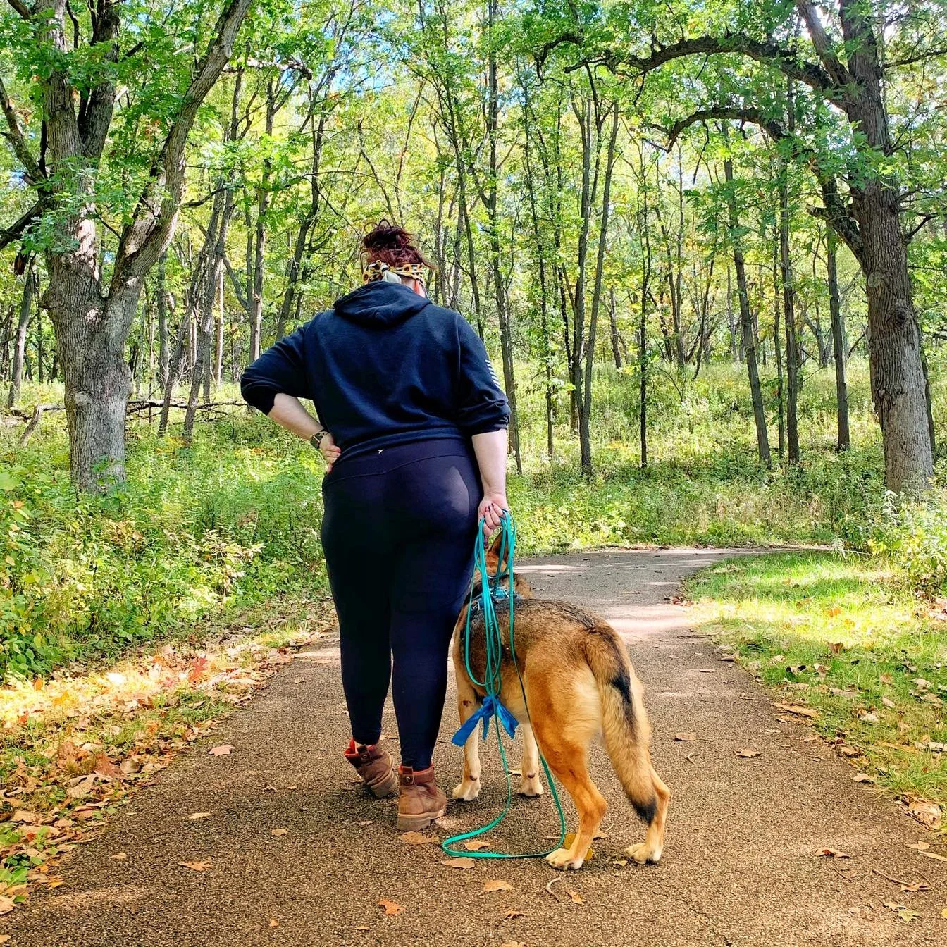 When Pain Changes Behavior: What Dogs and Humans Have in Common