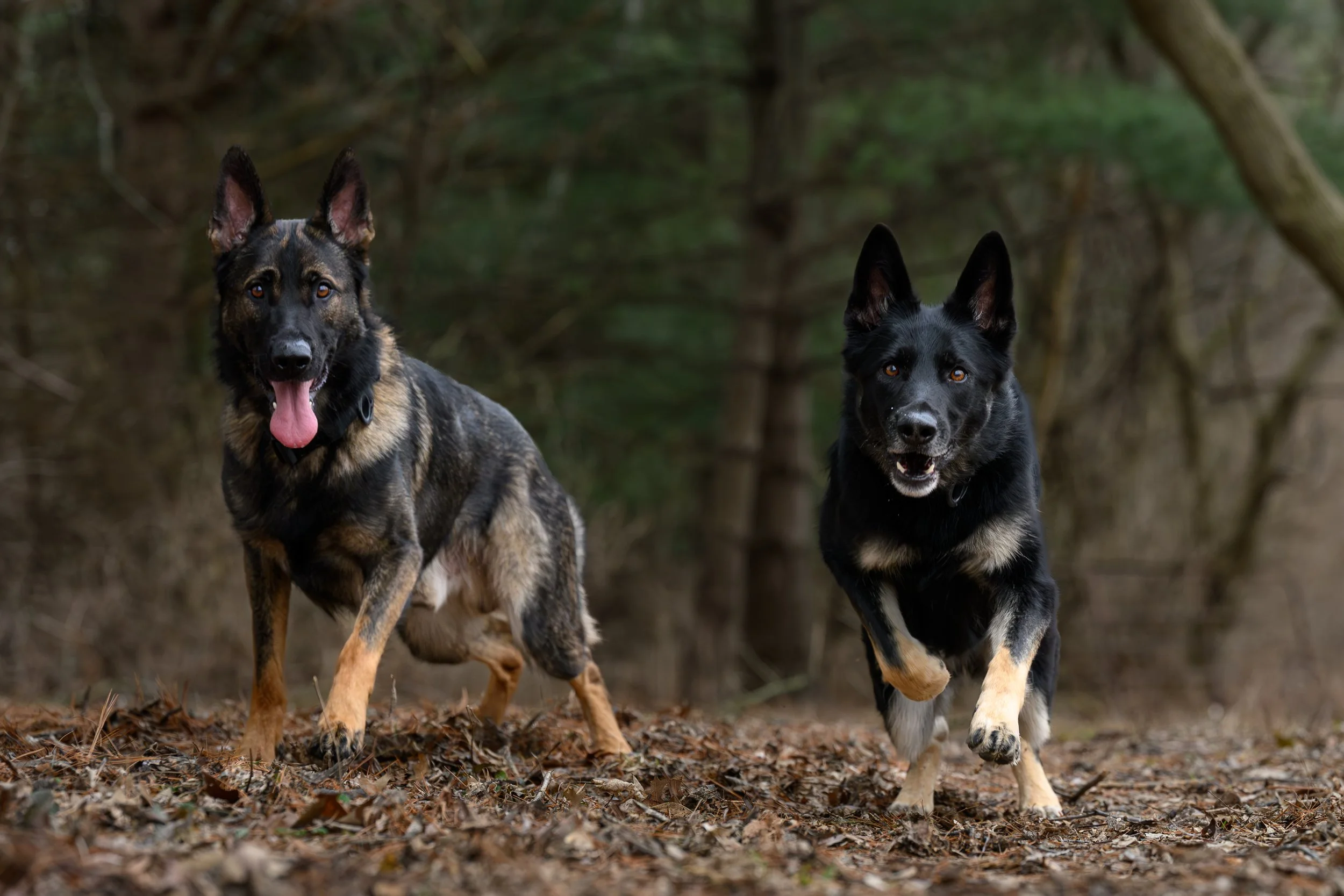 Is Something Better Than Nothing?