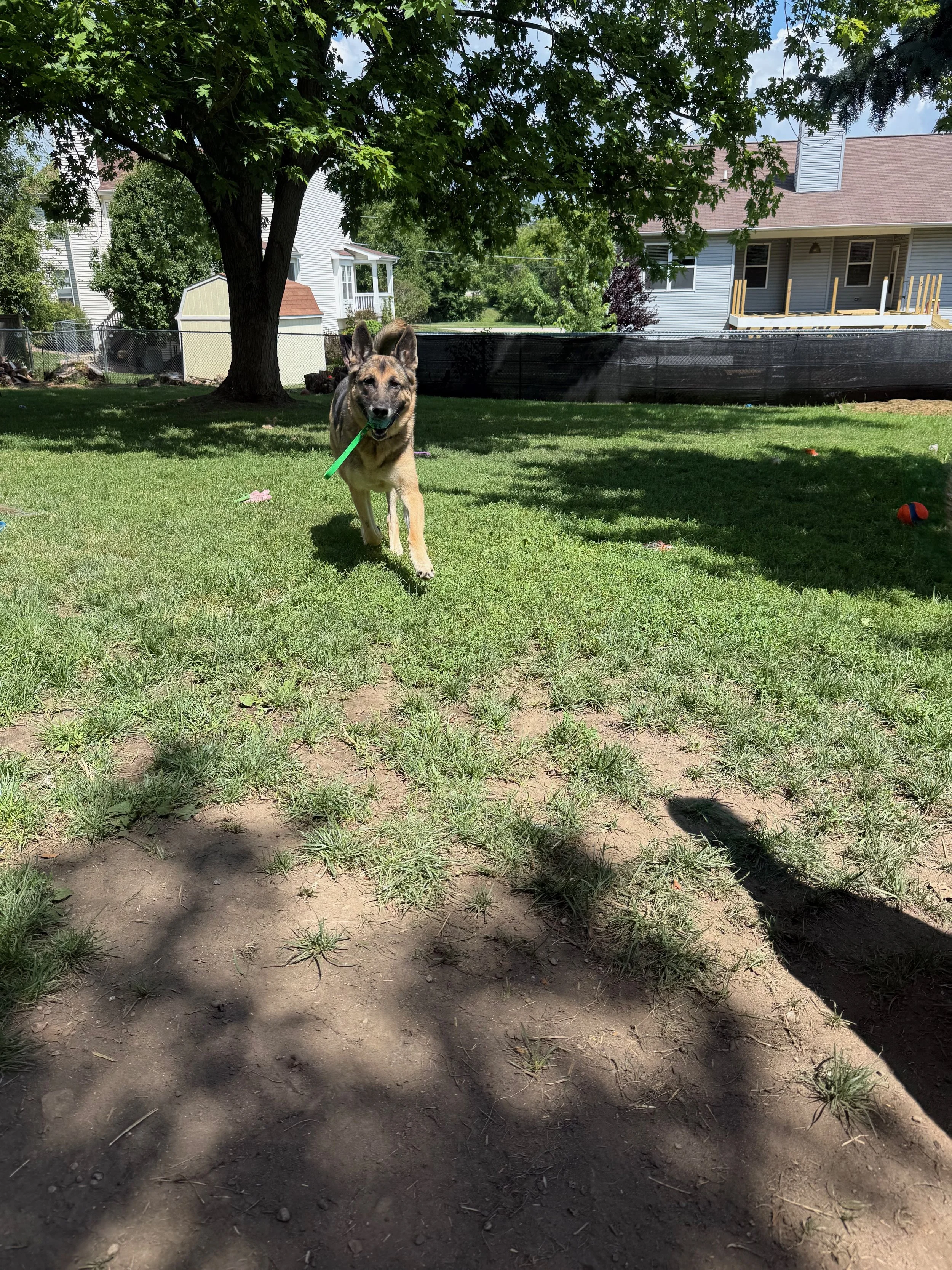 IMG_5052.jpeg