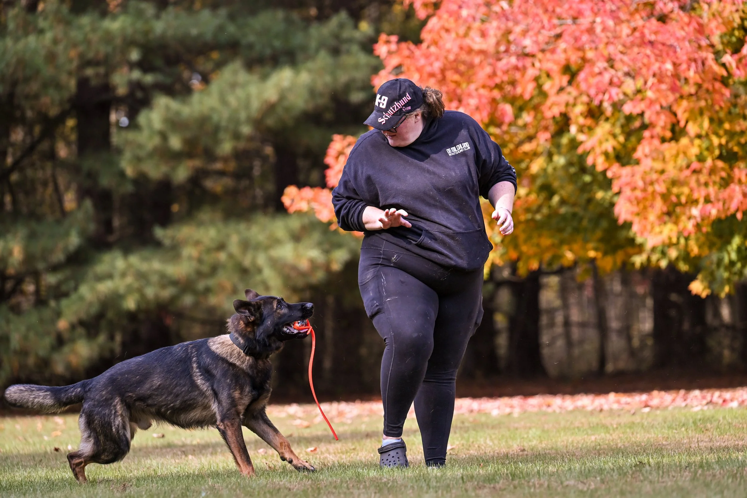 The Engagement Equation - Recorded Course Access