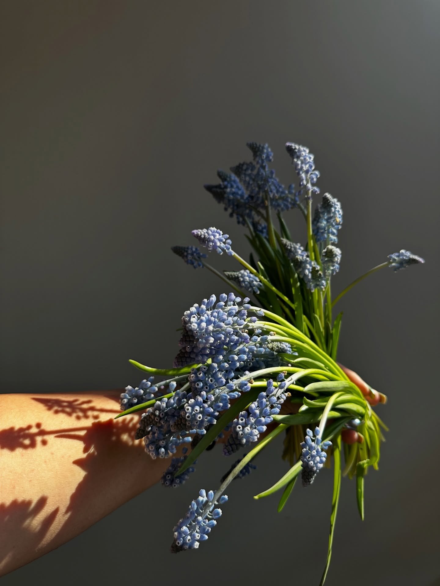 Spring blooms are coming in strong 🤍🍇