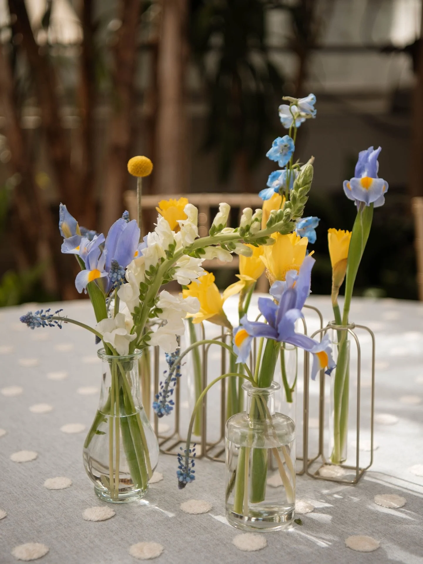 spring in full bloom, celebrating tiny arrivals and the sweetest new beginnings 🌸👶🏼✨