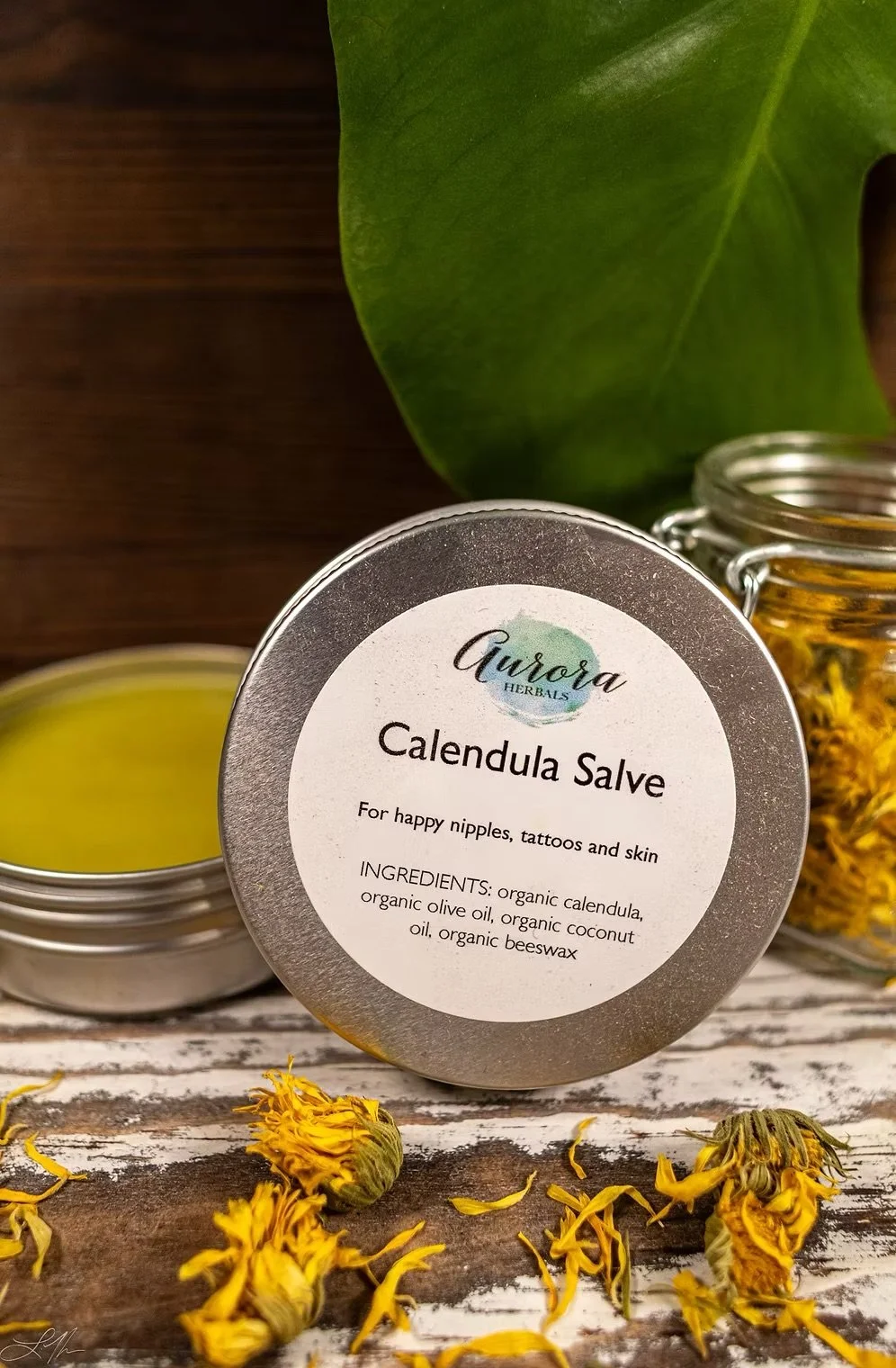 Calendula 1.jpg