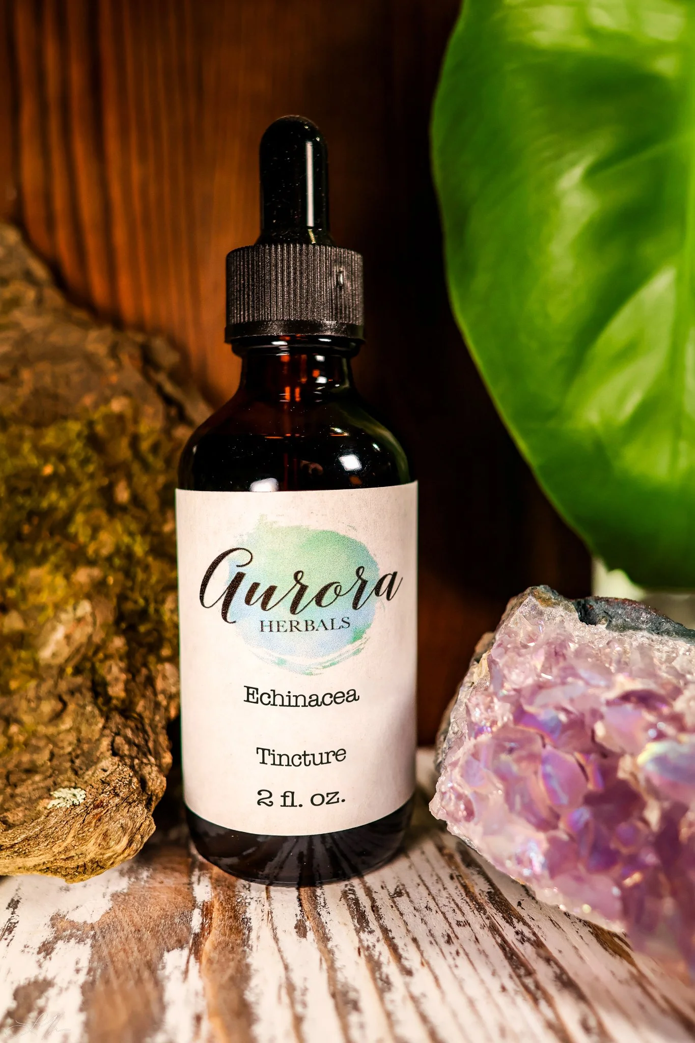 Echinacea.jpg
