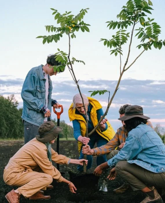 Collaborative Outreach & Partnerships