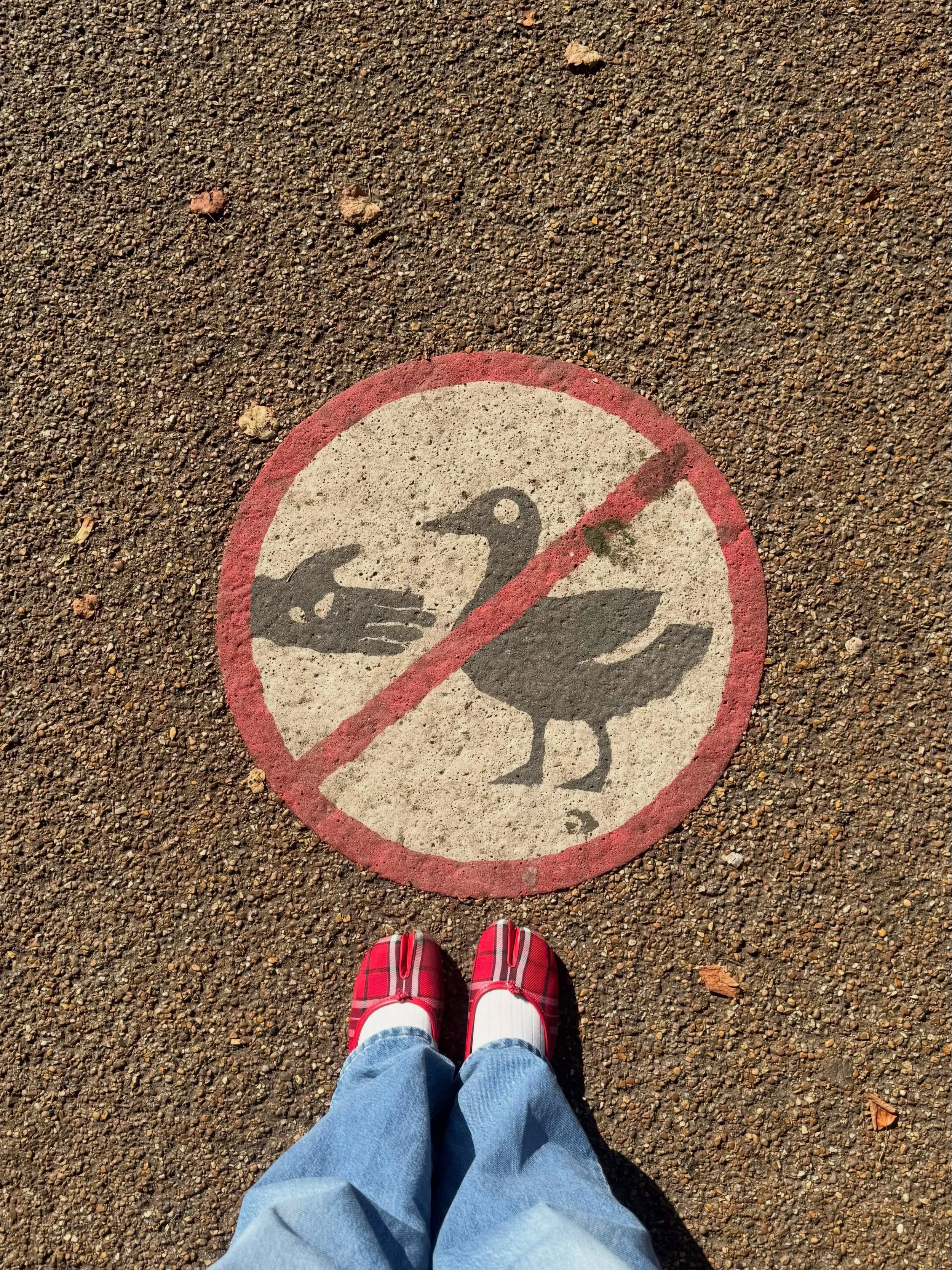 Omg, it&rsquo;s literally a sign!!!!!!!