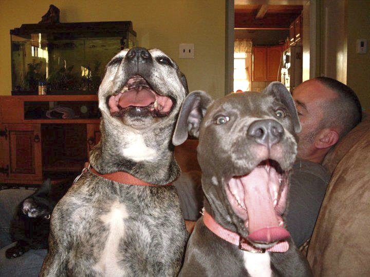 Zeema & Isis