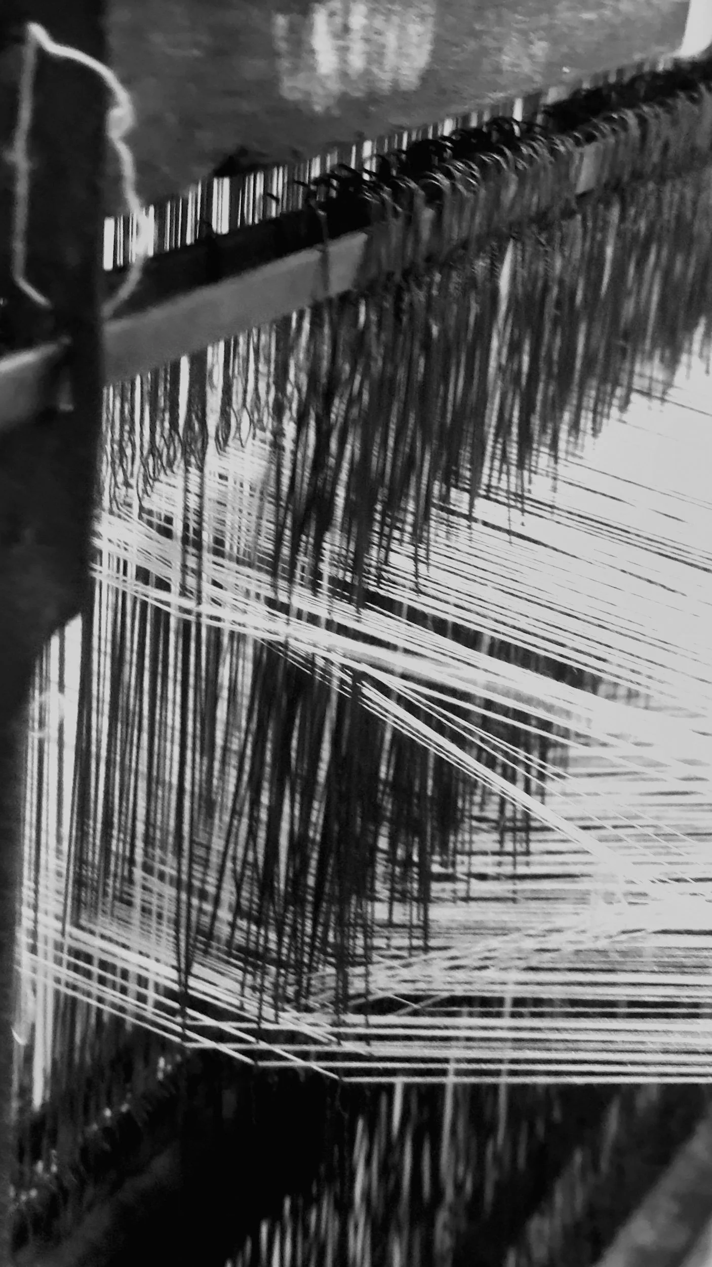 Membership, Not Mass Production: Why HYPATIA Caps Volume