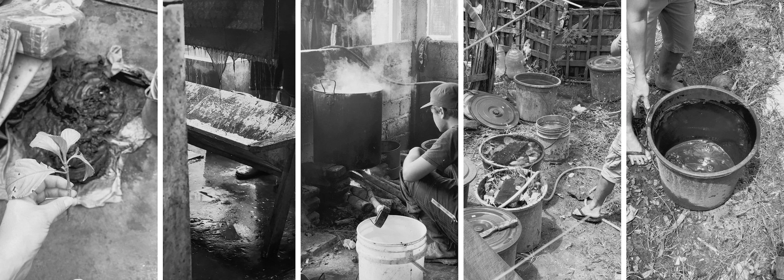 HYPATIA Process, five-panel natural dyeing sequence: plant cutting over a dye-stained basin, dripping dye table, dye pot steaming over open fire, buckets of soaking dye material outdoors, dye liquid poured among dry grass