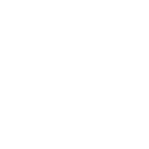 pp white.png