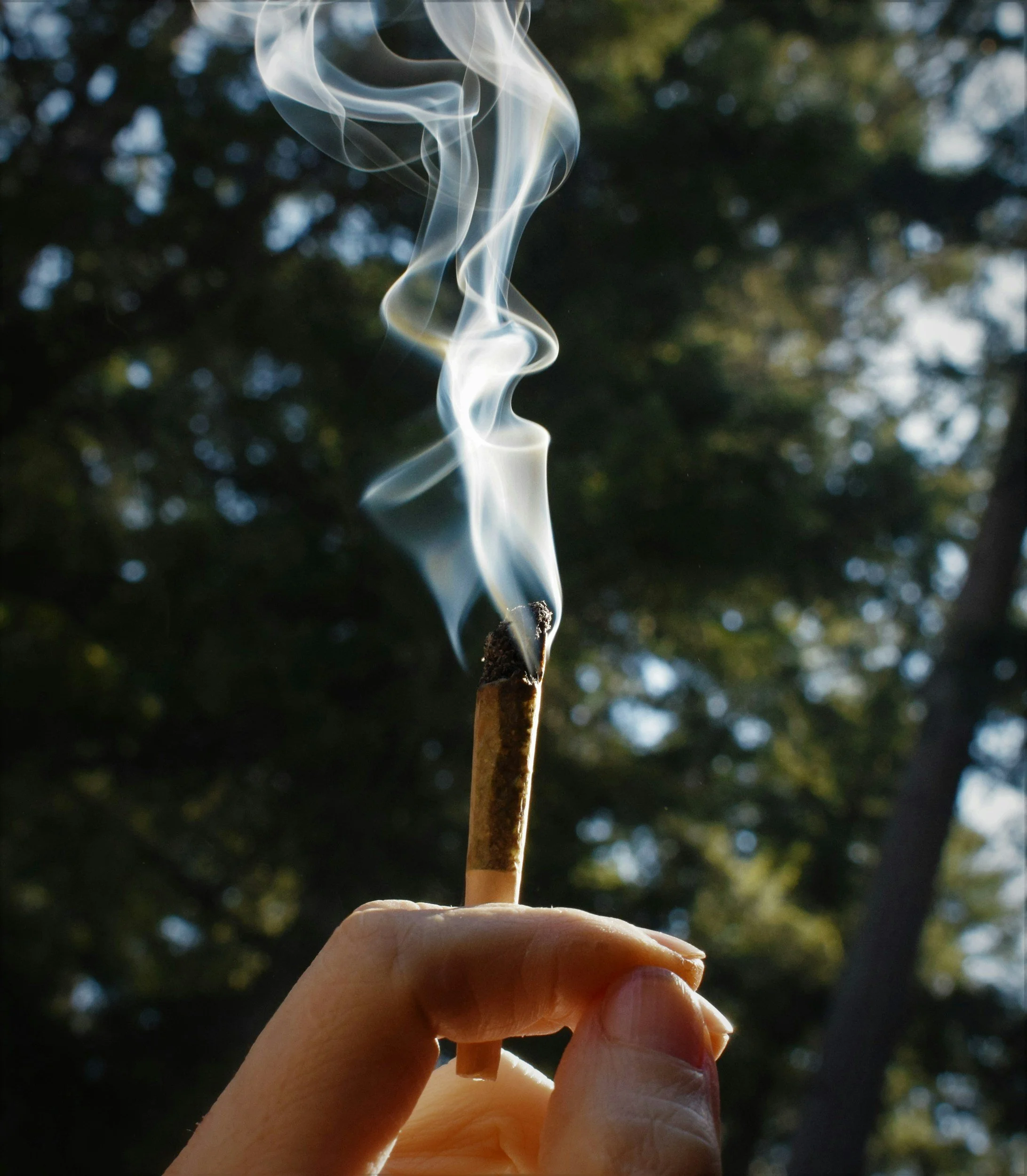 Wake &amp; Bake Morning Routines That Hit