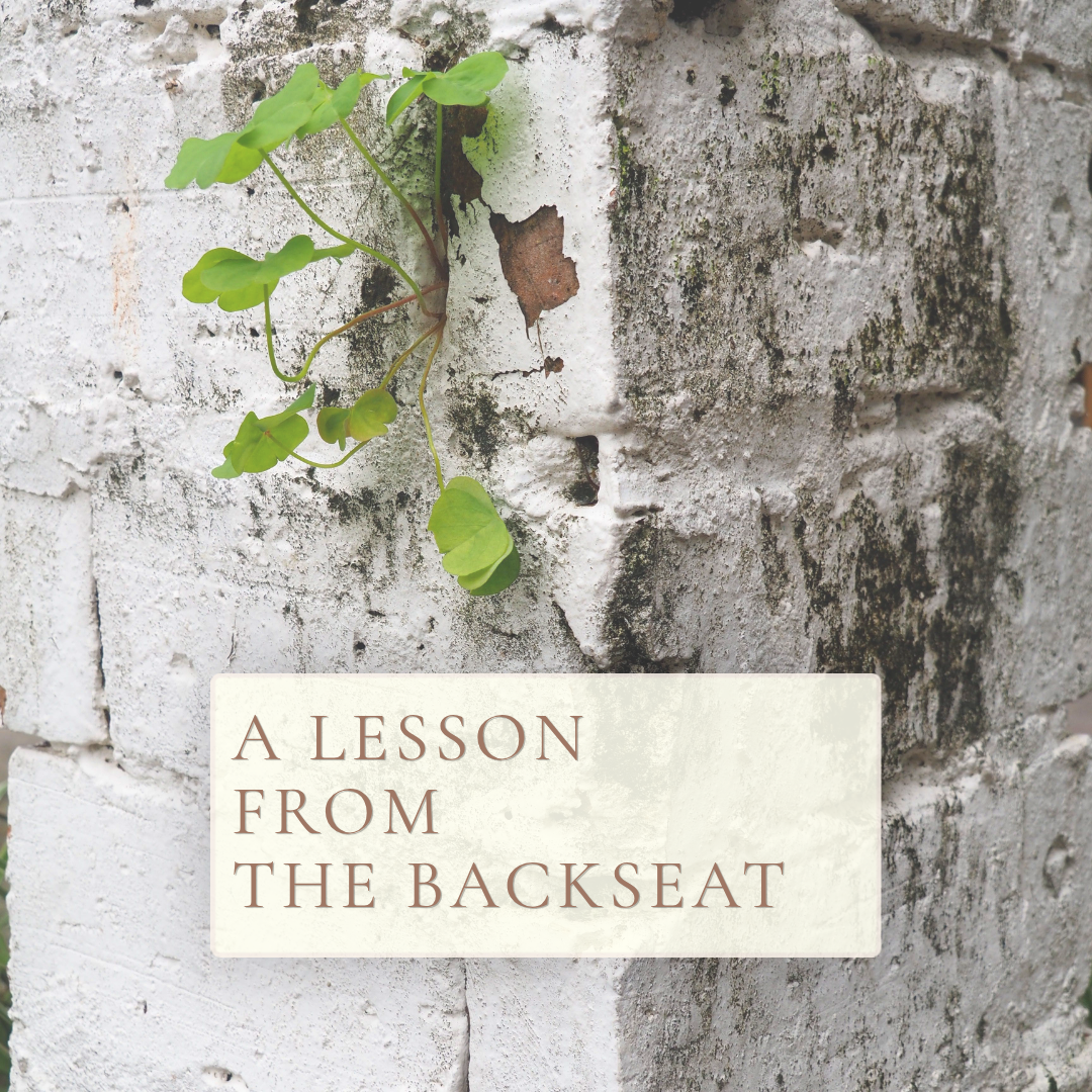 A Lesson From the Backseat