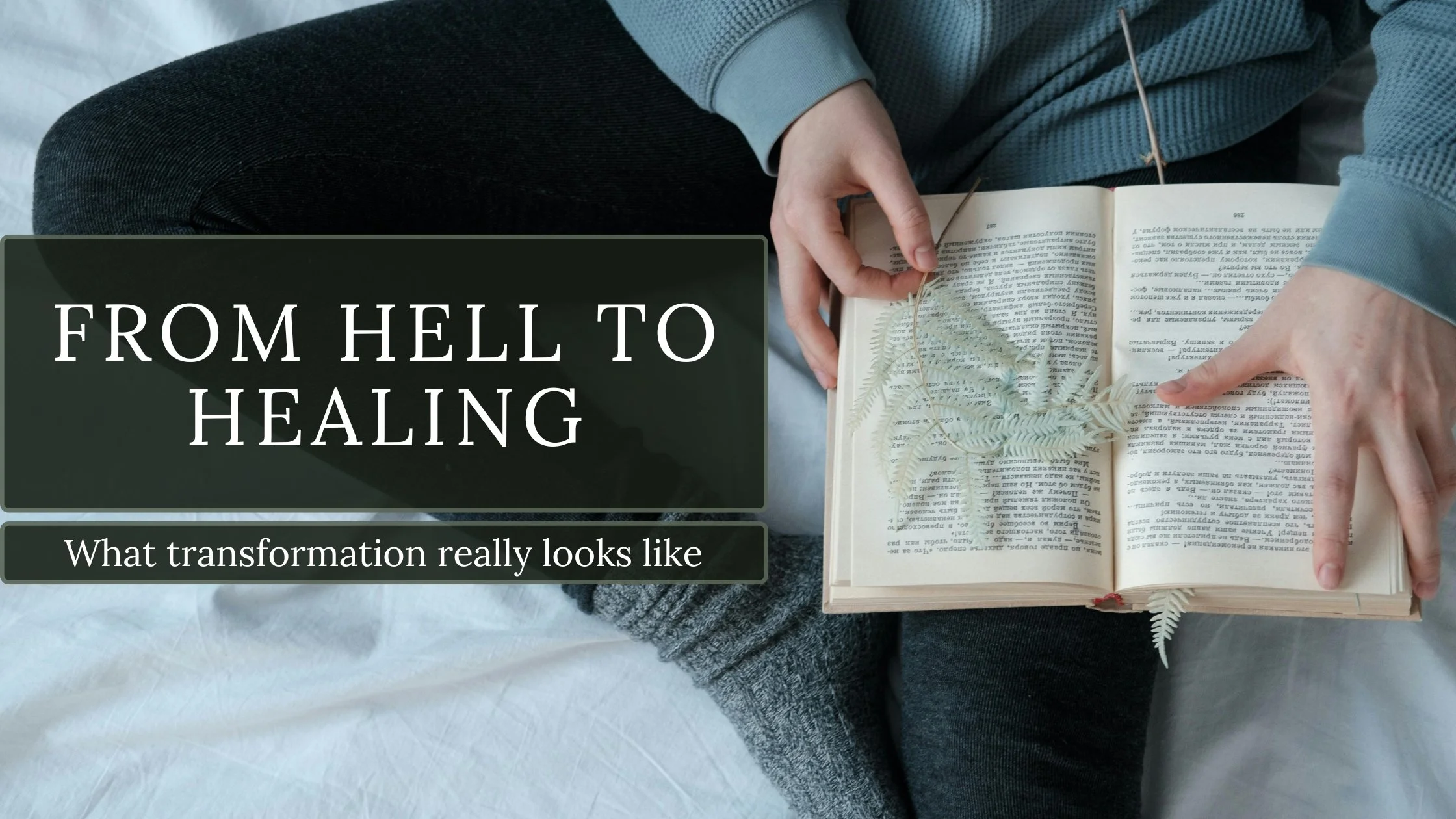 Person reading quietly in natural light, reflecting on healing and nervous system regulation.