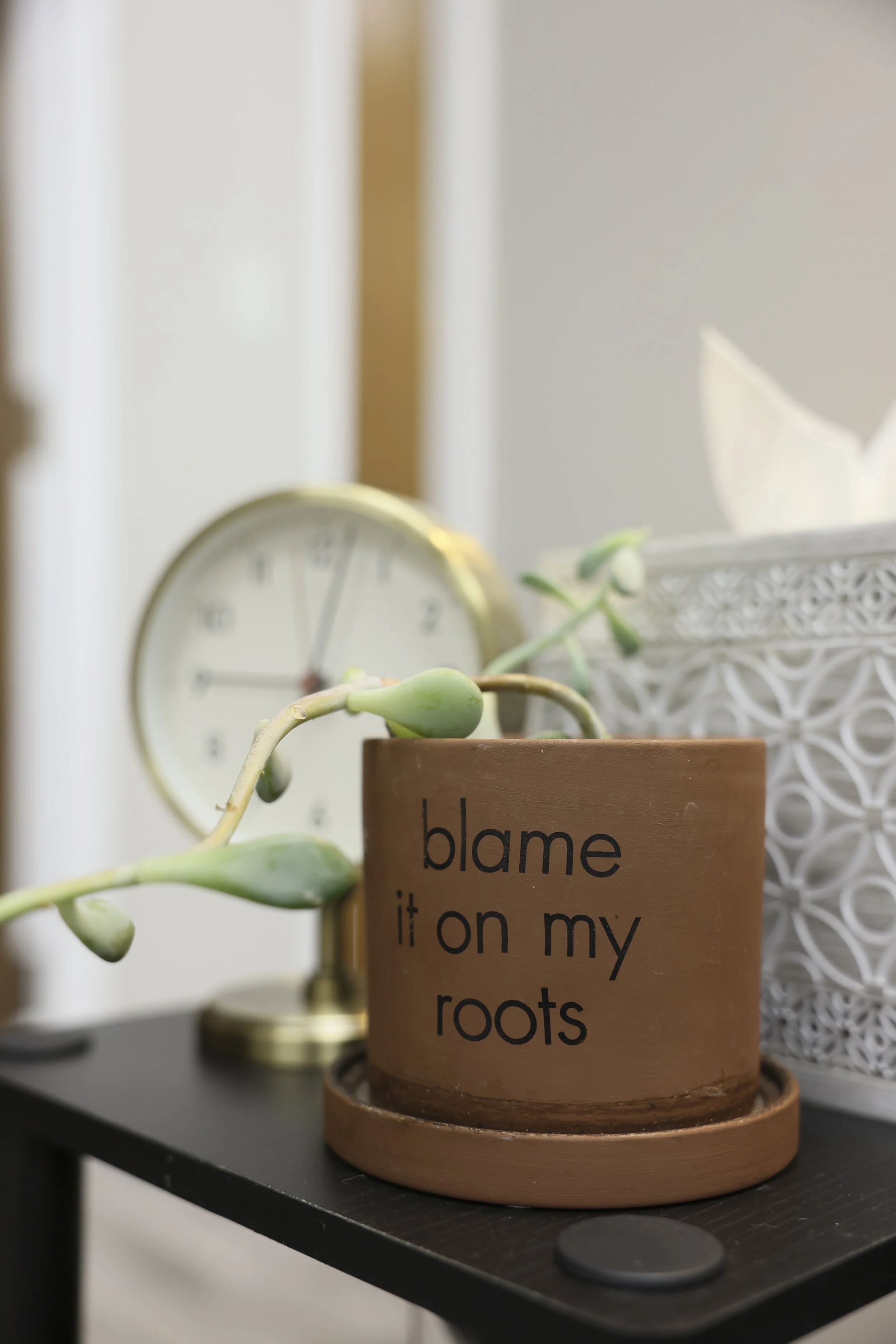 Plant in a pot reading “blame it on my roots”