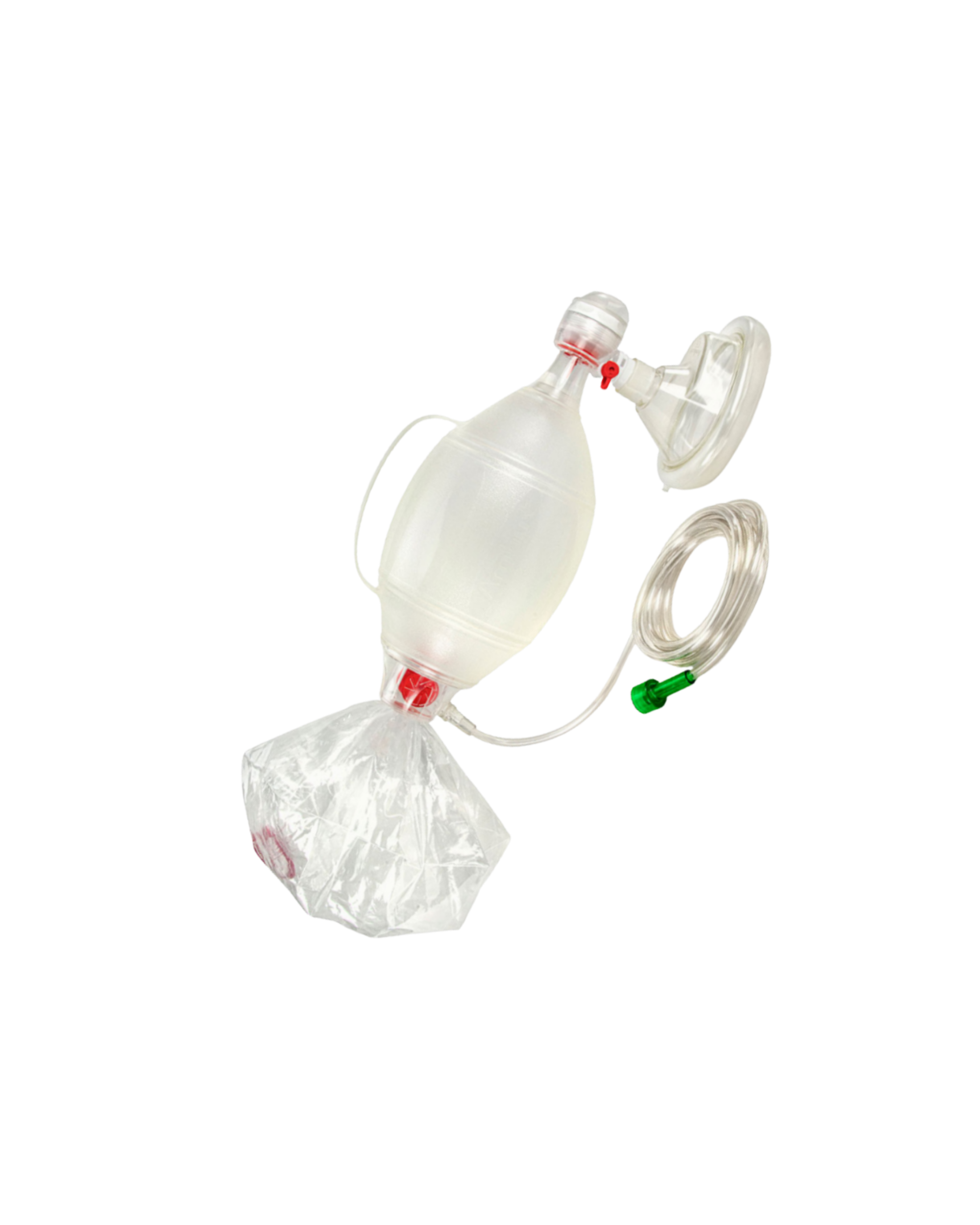 598862 (2000 x 2500 px).png