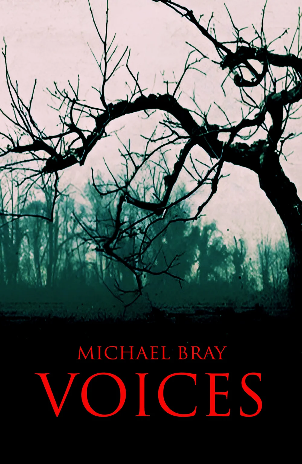 Voices (The Whisper Trilogy book 3)