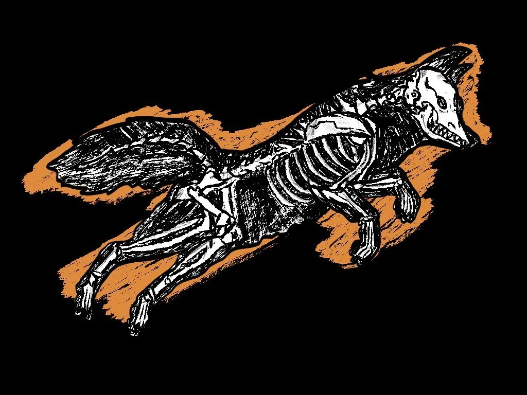 New skeleton fox version of the #createjustright logo for the spooky season!

Had this idea for sometime and thought I&rsquo;d finally post him to get ready for #halloween! I love my fox logo and his modular design! Wanted to see what he looked like 