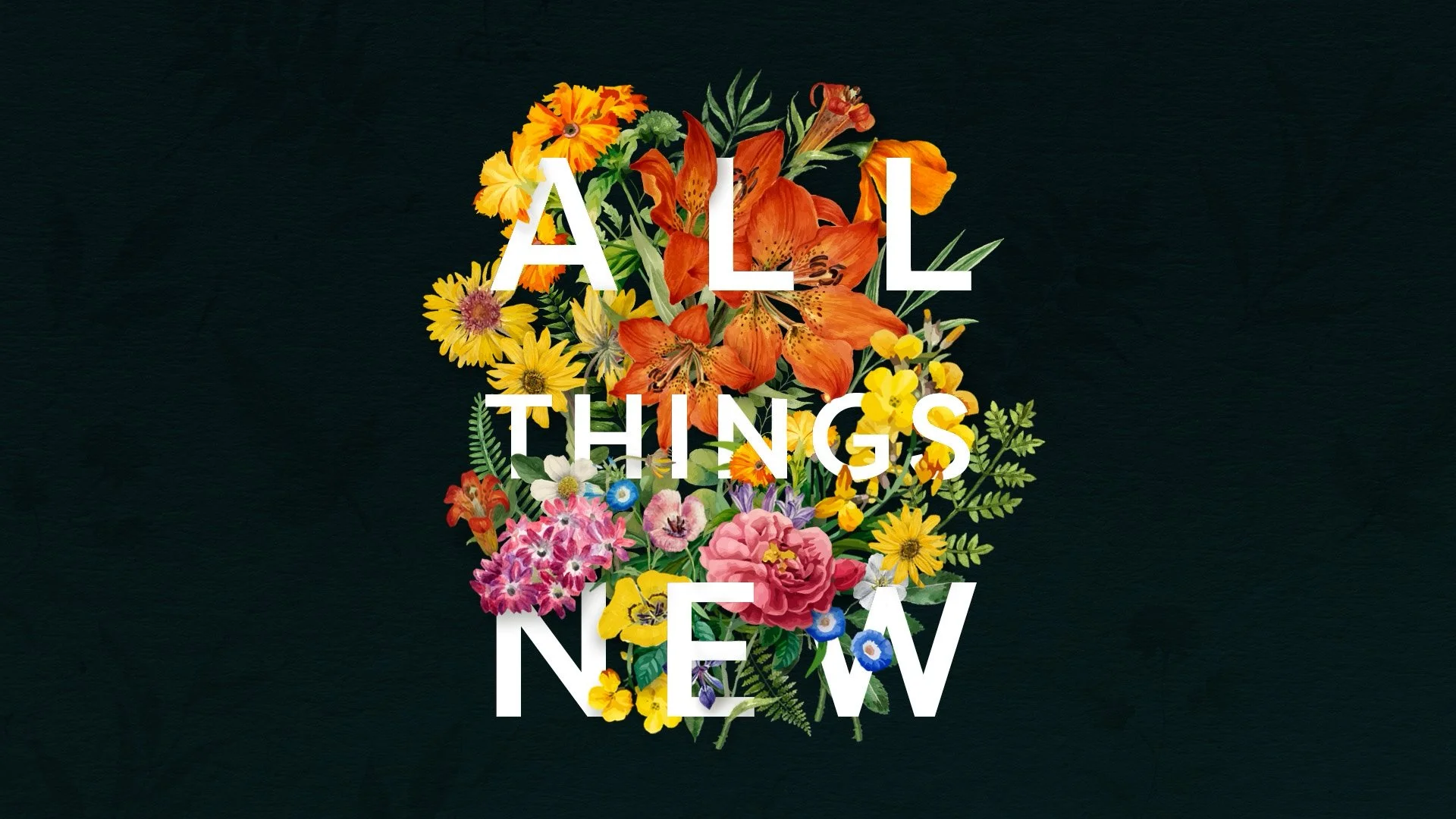 Stories - Kelsey Simononis V2.00_10_46_11.Still118.jpg