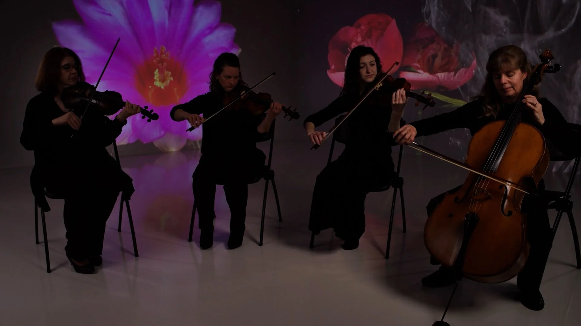 Stories - Kelsey Simononis V2.00_10_29_17.Still110.jpg