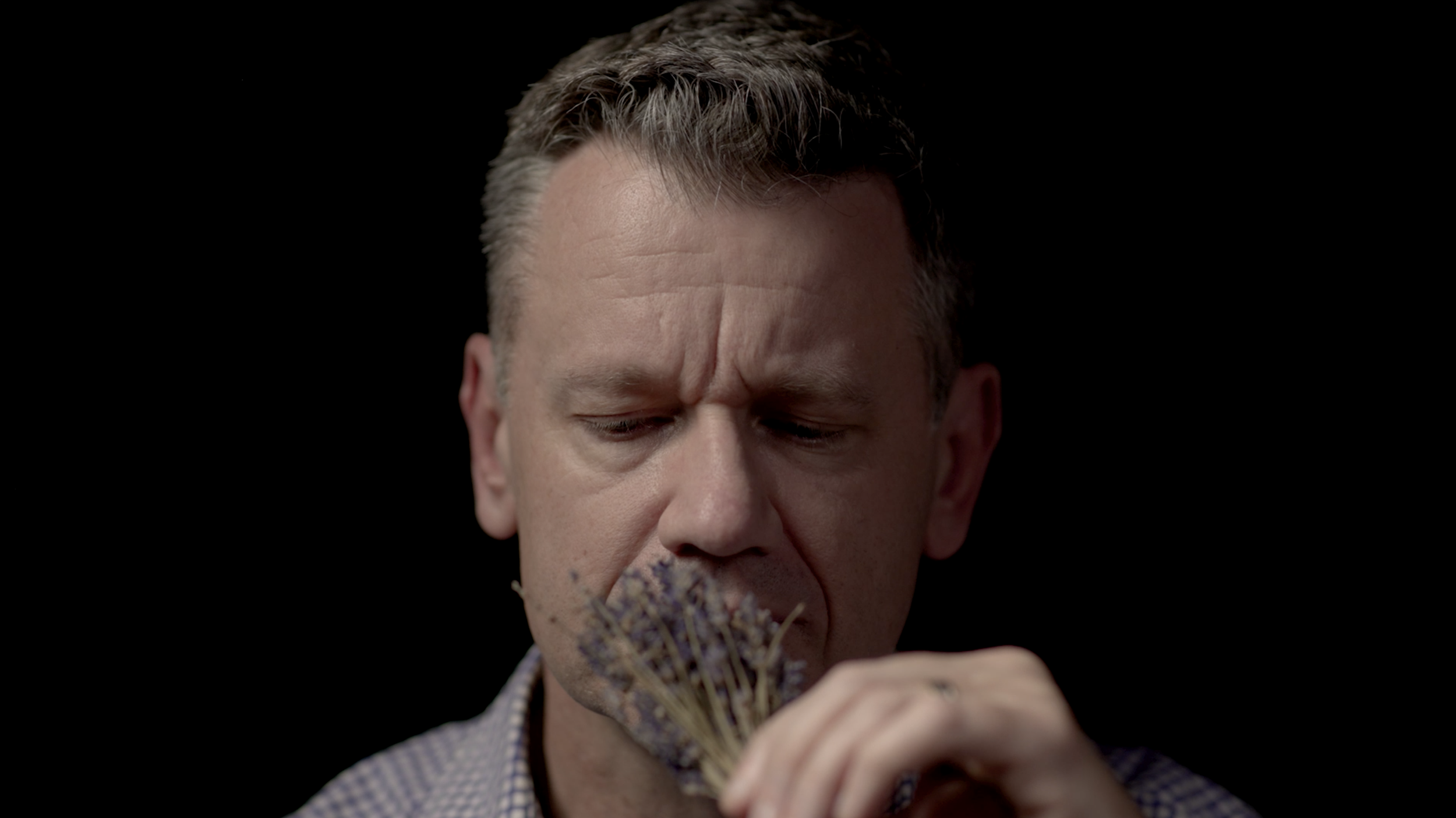 The Scent of Lavender