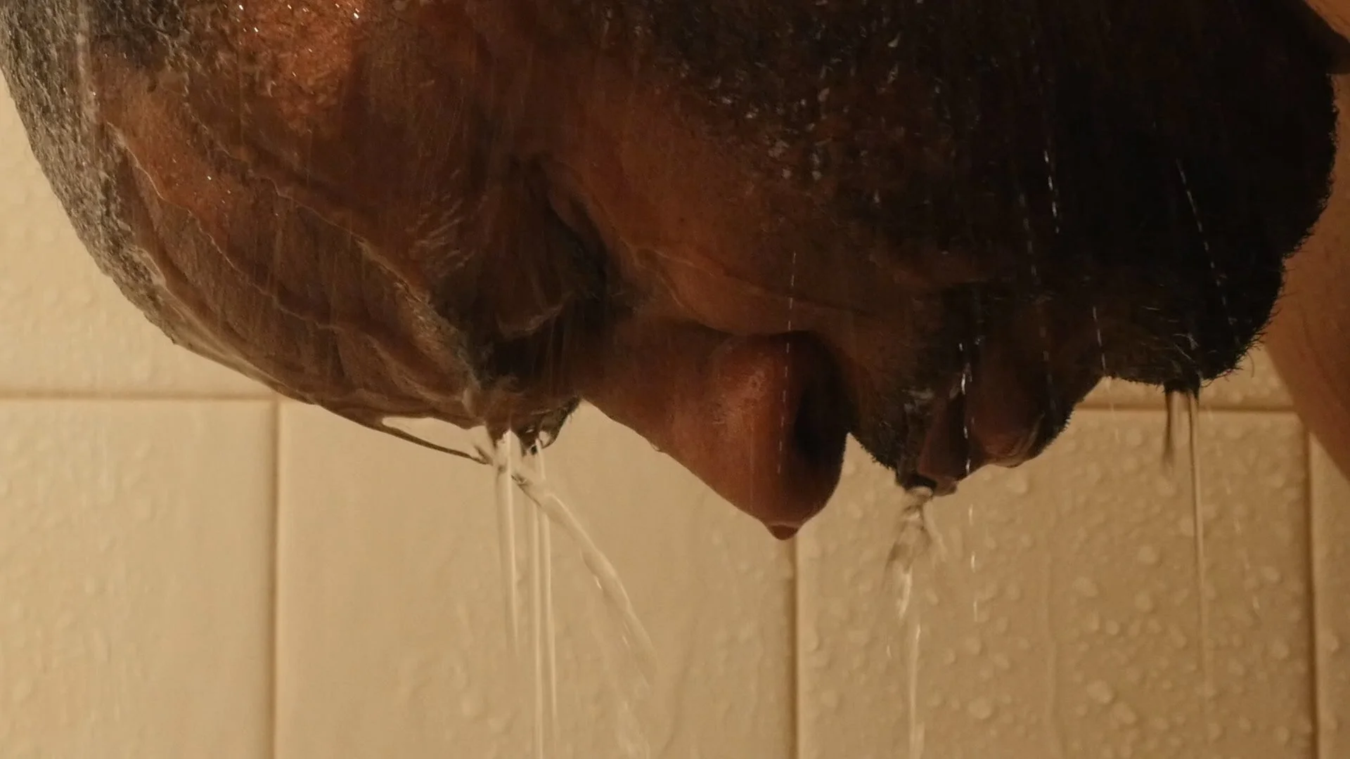 Roman Rough Cut.00_49_59_09.Still041.jpg